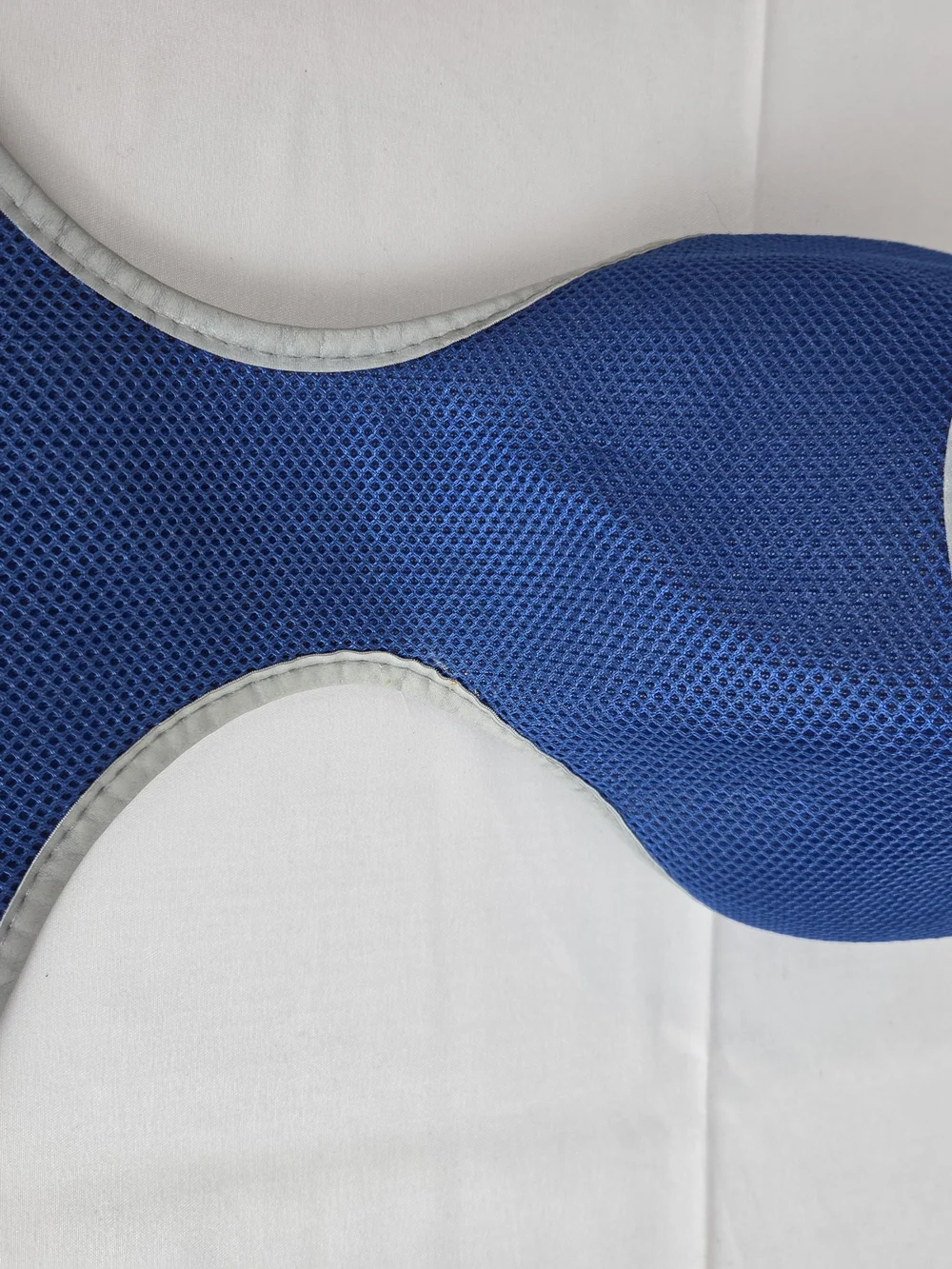 Blue Mesh Dog Harness with Red Paw-Print Leash